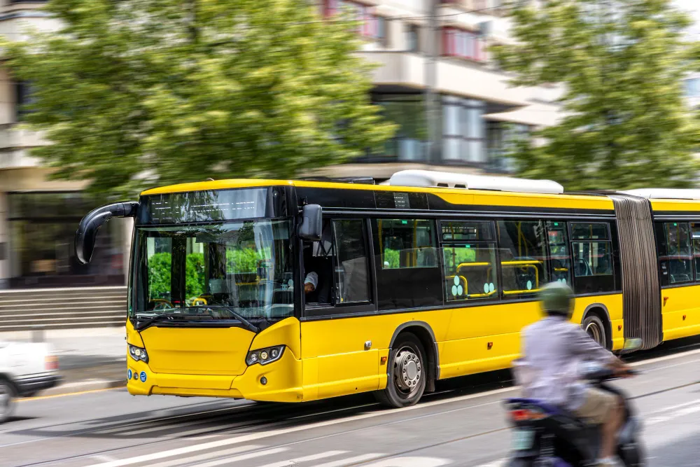 Rijbewijs D: Bus